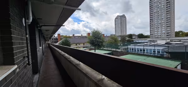 Alpha Grove, London