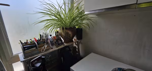 Alpha Grove, London