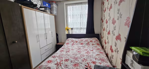 Alpha Grove, London